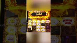 WOO! We got a LUCKY Feature in Tiger Lord Gold #casino #slots #shorts