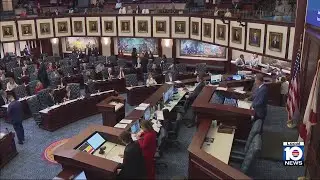 Florida House passes bill rolling back gun-buying age to 18