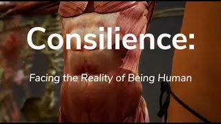 Consilience: Facing the Reality of Being Human