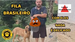FILA BRASILEIRO ... COM ELES NADA &Eacute;  DELICADO