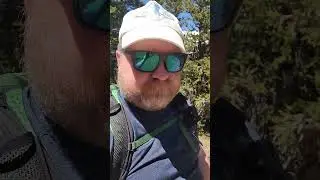 Shouldn't I have lost more weight?