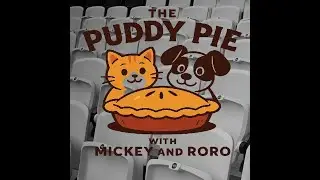 Week 9 The Puddy Pie #nfl  #humor