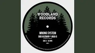 Wrong System Pt II
