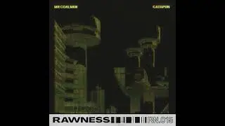 Mr Coalman - Unannounced Inspection (Original Mix)