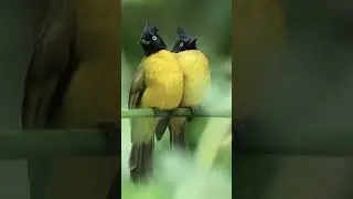 Each time after we have a fight #cute