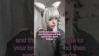 #cat brainwave reading cat ears???!?! #tiktoklive #cosplayer #catgirl #nekomimi
