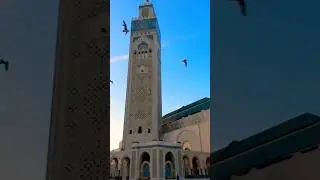 Half-Day Casablanca Shore Adventure: Dive into Morocco's Culture! 🌍🕌