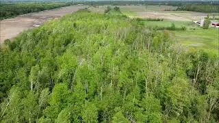 Derecho damage Ottawa 2022