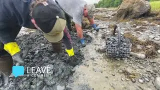 Digging for Steamers in Remote Maine | The Hard Work Behind Sustainable Clamming
