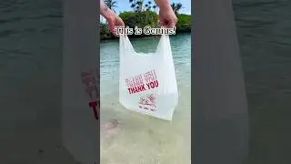 Use small plastic bag to help clean sand off of feet at the beach! #beach #sand  #vacation  #feet