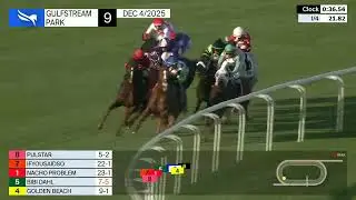 Gulfstream Park, 4 декабря 2025 г., гонка 9