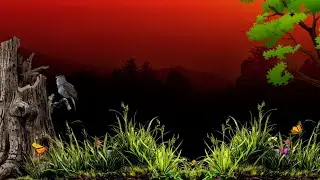 Flying Butterfly Background Video Effects HD With Jungle Background Video 