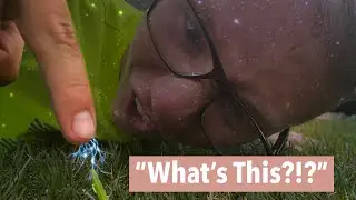 Sweaty Gamer Touches Grass For The First Time!!!