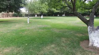 Bebop 2   Sudden Motor failure
