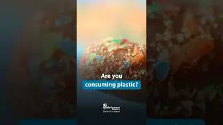 Microplastics Found in Breast Milk & Brain | The Toxic Truth About Plastics