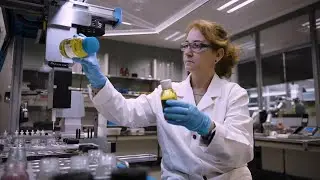 ¿Tienen futuro los combustibles sintéticos? (parte 1) / Reportaje | Centímetros Cúbicos