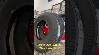 I can't believe those Autobahn tires are radial! 🤩🚌