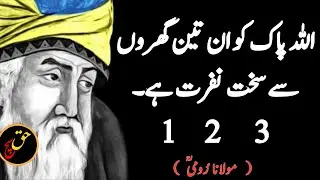 Allah PaK K0 In Teen GhrOon Sy Sakhat Nafrat Hai |HaQSuch| MOLANA RUMI | Urdu Hindi Quotes