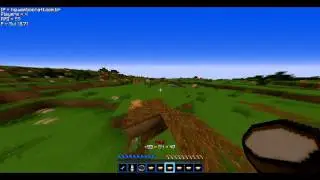 gg kangaroo