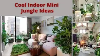 Amazing Indoor Mini Jungle  Ideas | Urban Jungle Ideas | Indoor Dream Garden | Swaroopa Diaries