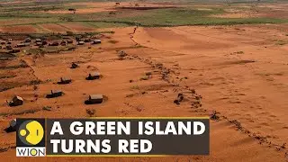 4 years of drought turn Southern Madagascar into a dust bowl | WION Climate Tracker | English News