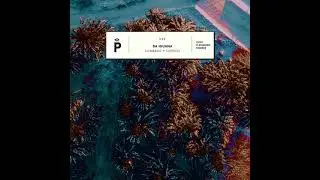 Da Iguana - Reg Spirits (Original Mix) [Playground Records]