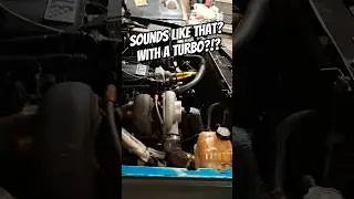 #automobile #youtube #shorts #exhaust #cammed #chevy #ls #turbo