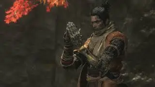 Bigger Sekiro Boss Dump