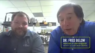 Crop Nutrition Insights - The Corn Sprint