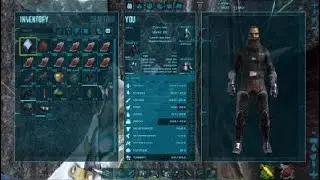 ARK Final Artifact Extraction