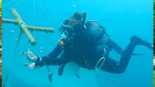 REEFOLUTION EXPERTS SAVING CORAL REEFS DEEP IN THE DIANI OCEAN WATERS