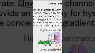 Carrier Proteins: The Hydrophilic Hero in the Cell Membrane! #shorts