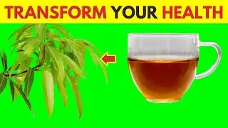 10 Amazing Benefits Of MANGO LEAF & Why Drink It