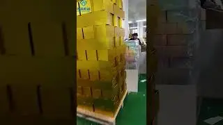 Efficient Gift Box Production | 16-20/min | Fully Automated Box Maker #packingmachine #rigidbox