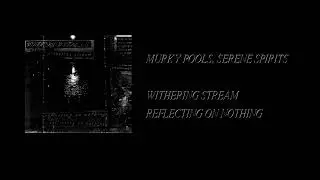 Withering Stream - Reflecting On Nothing [Full Cassette Rip]