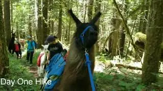 Trapper Creek Camp Out 2019