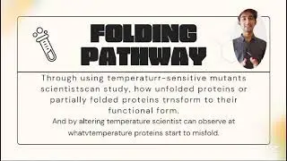 Temperature-sensitive Mutations, Biochemistry