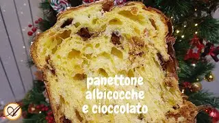 Panettone albicocche e cioccolato - Lievitazione naturale