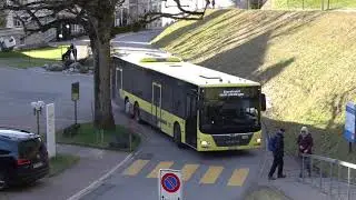 STI MAN Bus