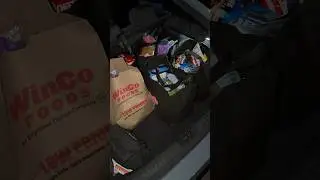 2021 Honda Civic Sport Grocery Bag Test #hatchback #honda #daily