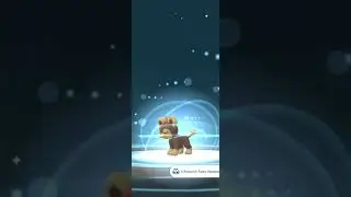 litleo Evolution #pokemon #pokemongo #shorts  #trending
