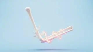 Biological anatomy of the skeleton and bone health | No Copyright Stock Video