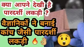 कांच से 5 गुना मजबूत पारदर्शी लकड़ी 👌 Transparent Wood #shorts #FactSixer