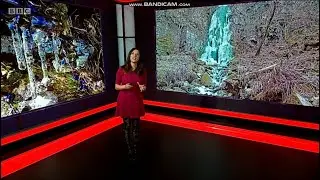 Behnaz Akhgar - Black Patterned Tights - 12/2/21