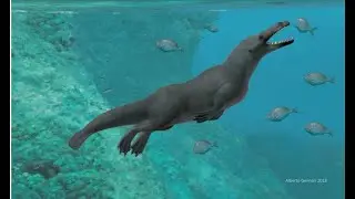 An Amphibious Whale from the Middle Eocene of Peru