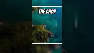 S.O.U.L. vs The Chop #shorts #samplechop #sampledbeats