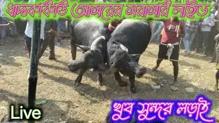 ধাদককিডি আসরের সরাসরি লাইভ।gamer ajit mahato  live