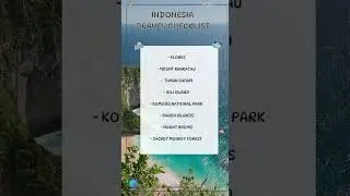 INDONESIA travel Checklist