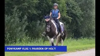 PONYKAMP VLOG 1: PAARDEN SLAAN OP HOL?! | Equifemke