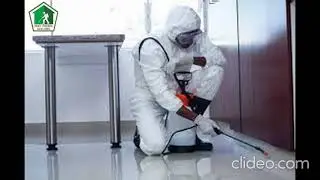 Emergency Pest Control in Geelong | Emergency Pest Control Geelong | Geelong Emergency Pest Control